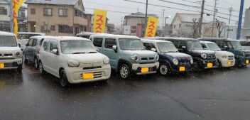 まだまだスズキの日絶賛開催中です！